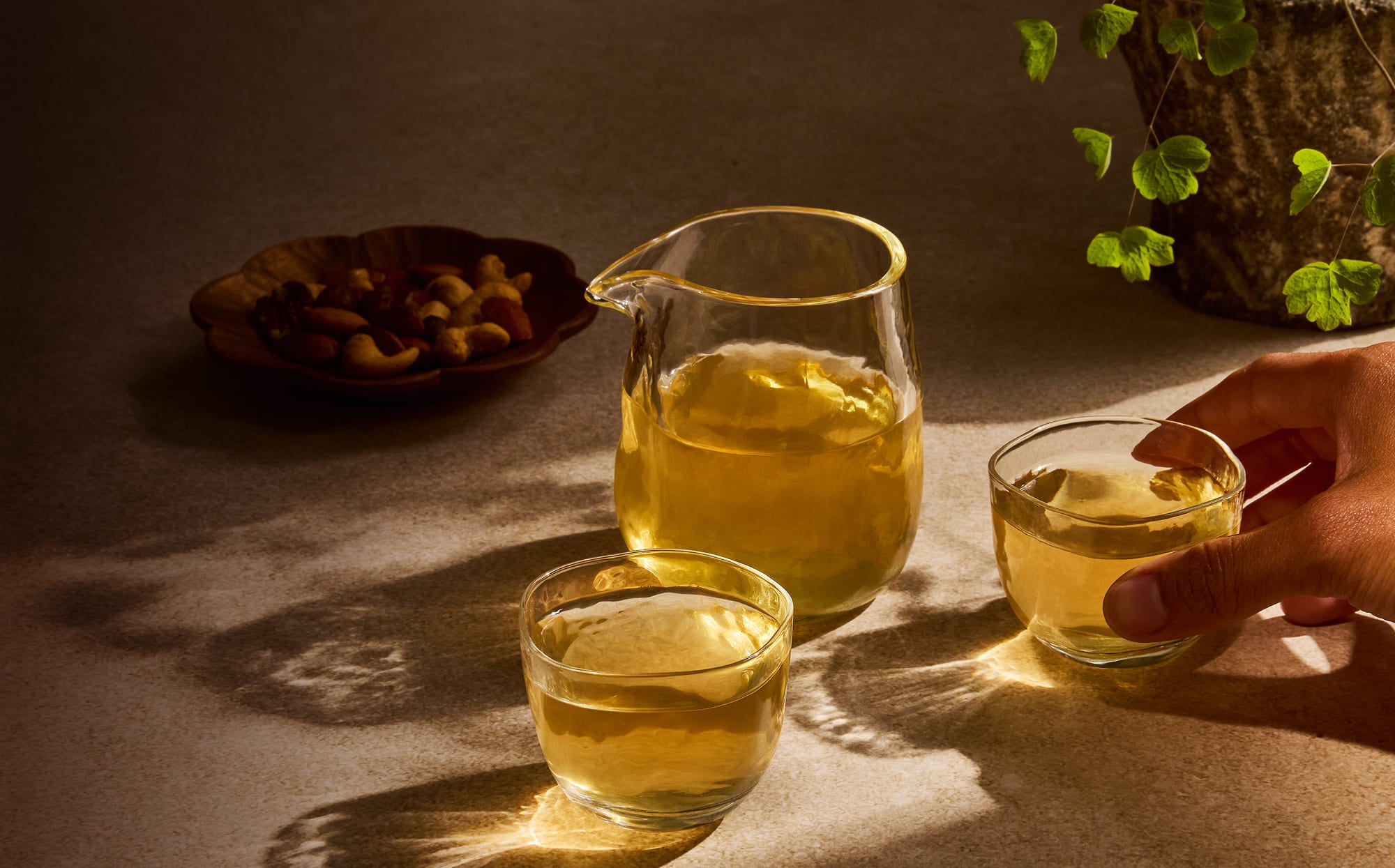 A clear glass pitcher and two matching glass cups filled with golden tea, arranged on a tabletop with warm sunlight and shadows. A hand is holding one cup, and a small bowl of nuts and green leaves appear in the background.