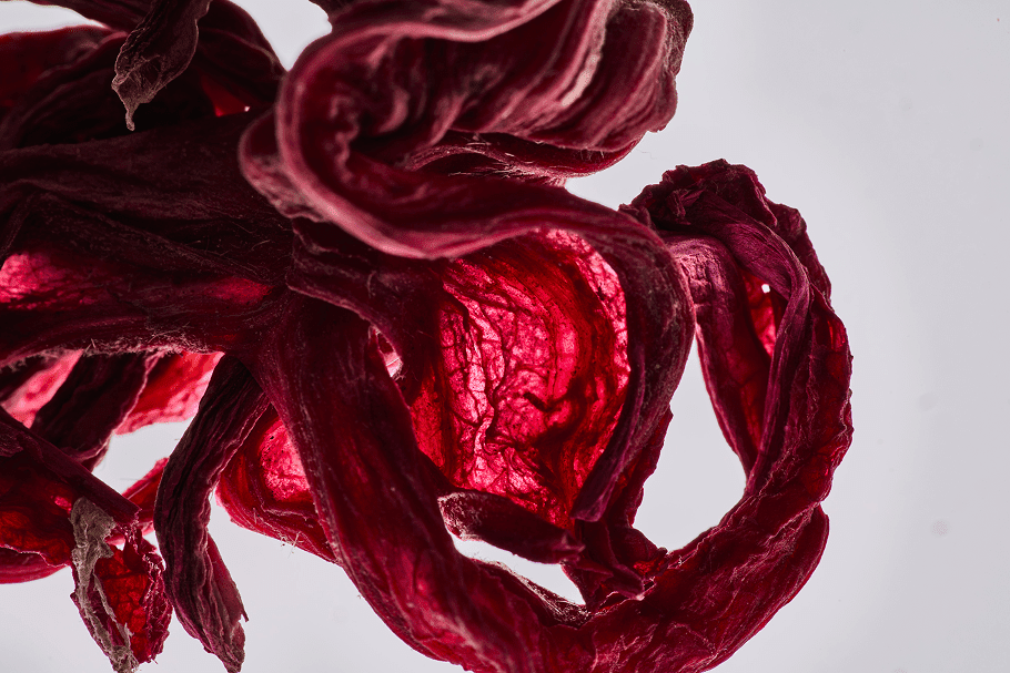 Hibiscus: Tart, Timeless, and Rooted in Tradition