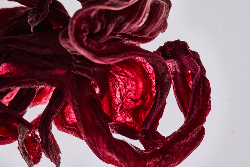 Hibiscus: Tart, Timeless, and Rooted in Tradition