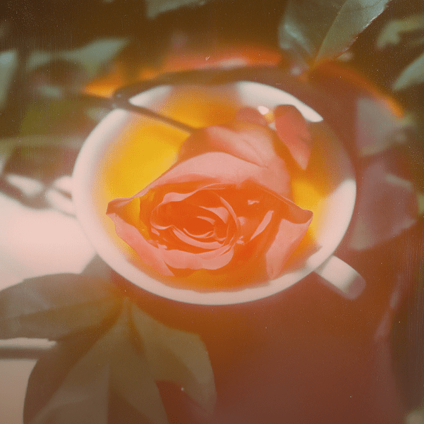 Scent Notes: Tea in Perfumery