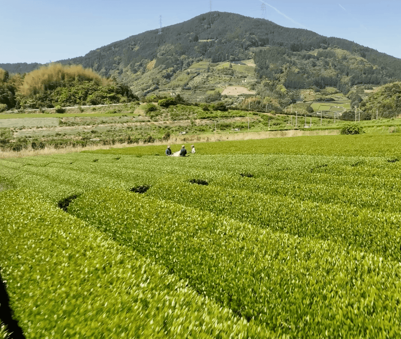Shimizu, Shizuoka, Japan