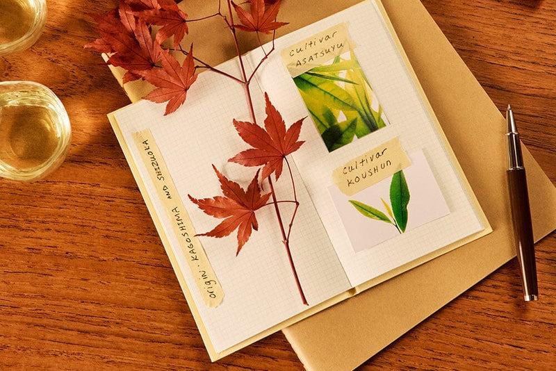 Ode to Sencha: How to Taste the Nuances of Terroir, Cultivar & Craft