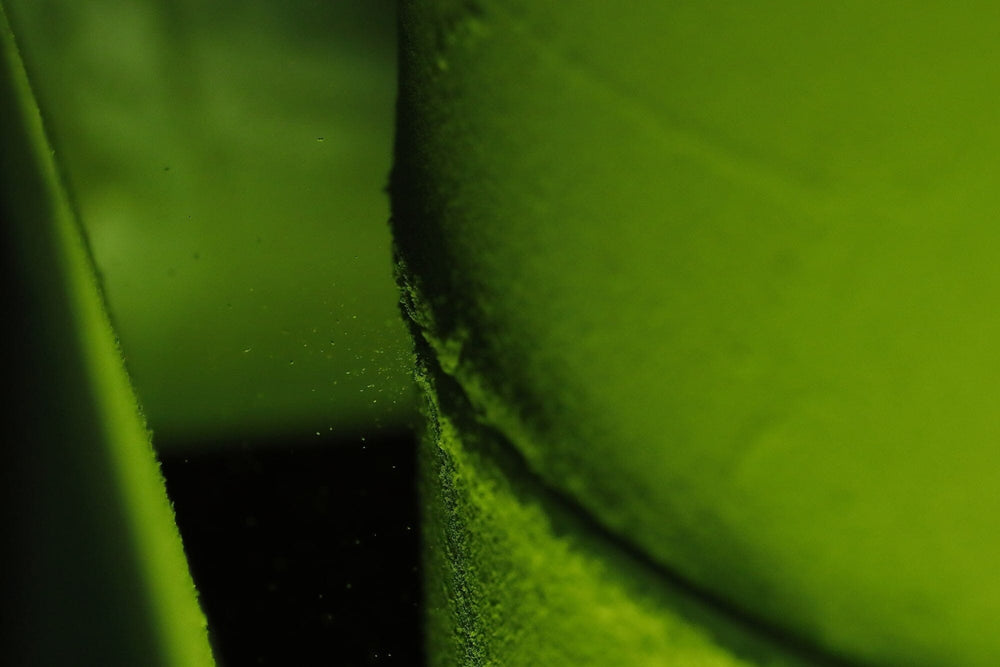 Journey to the Source: Uji, Japan