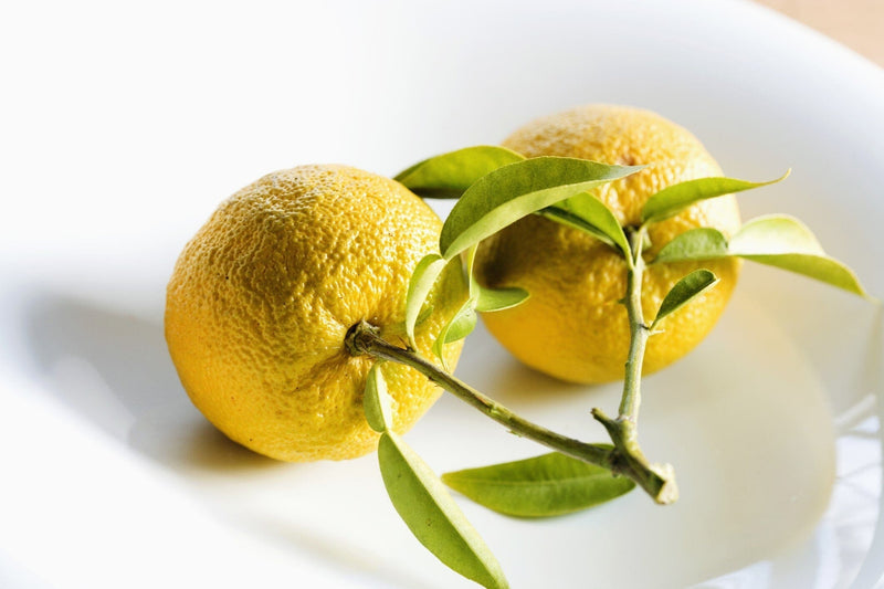 Yuzu Citrus