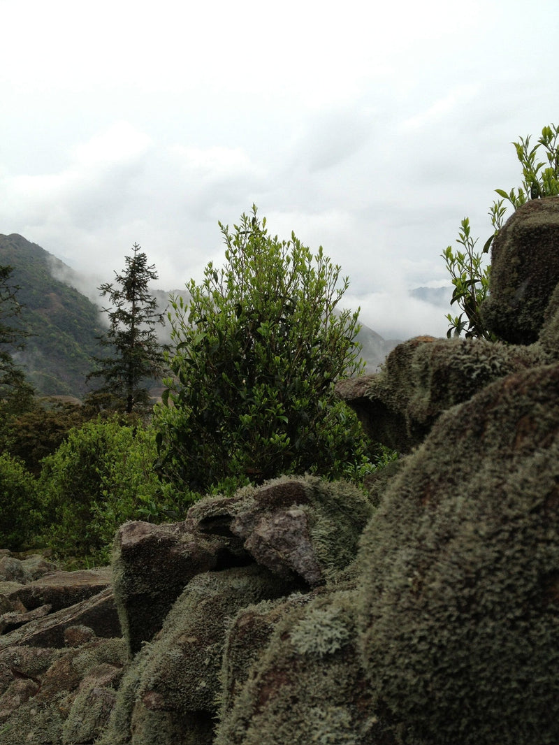 Chaozhou, Guangdong, China