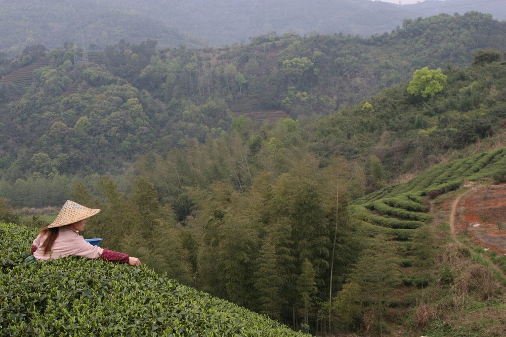 Fuding, Fujian, China