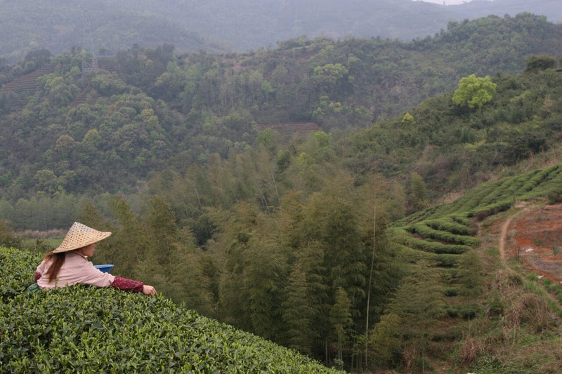 Fuding, Fujian, China