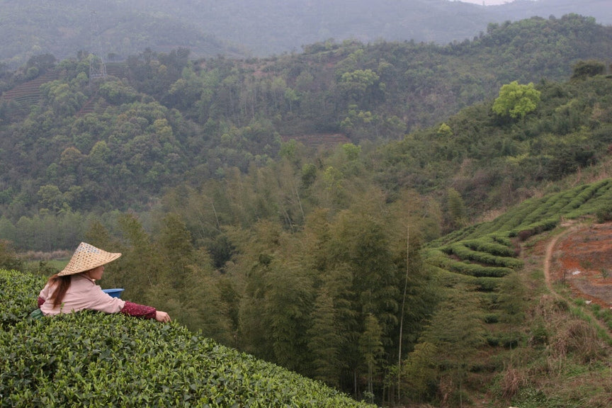 Fuding, Fujian, China