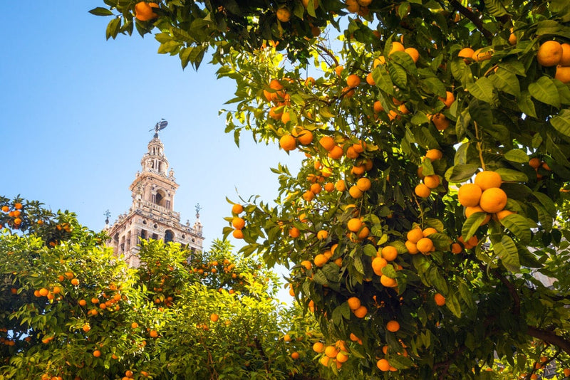 Seville, Spain