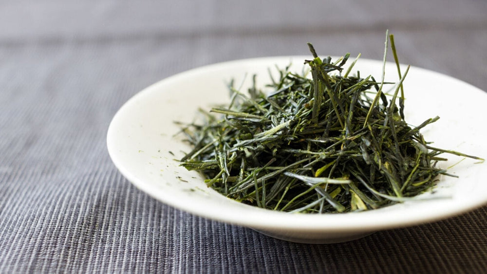 what-is-green-tea-banner-2