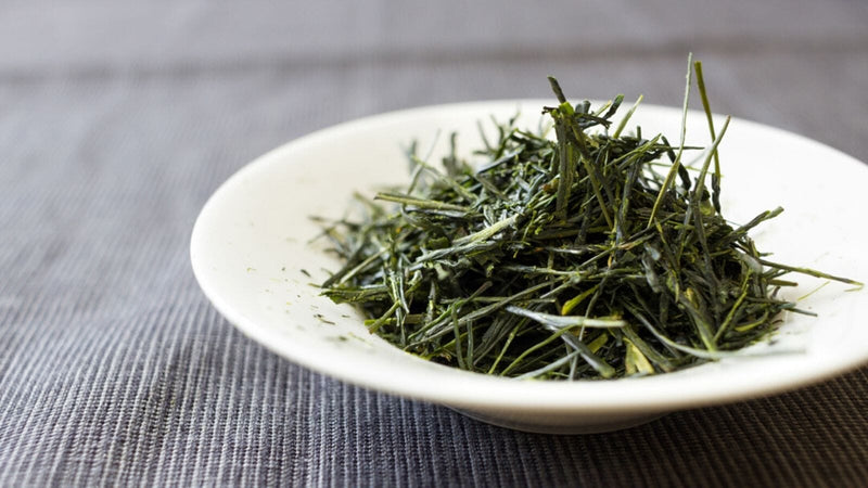 what-is-green-tea-banner-2