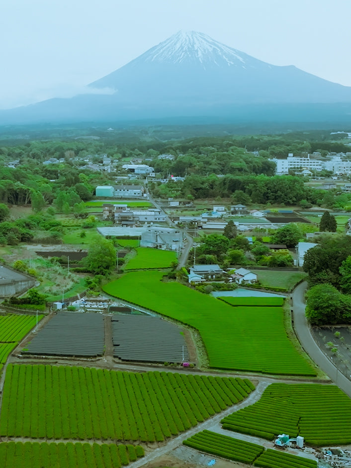 M's Fukamushi Kabuse Sencha hover image