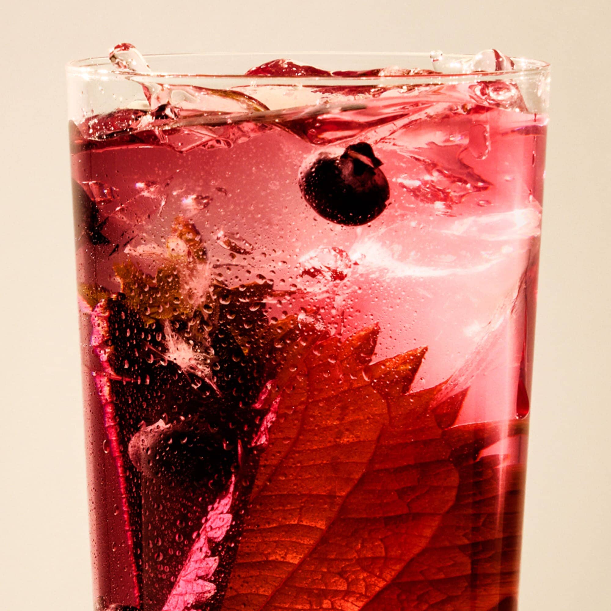 Blueberry Shiso Iced Tea