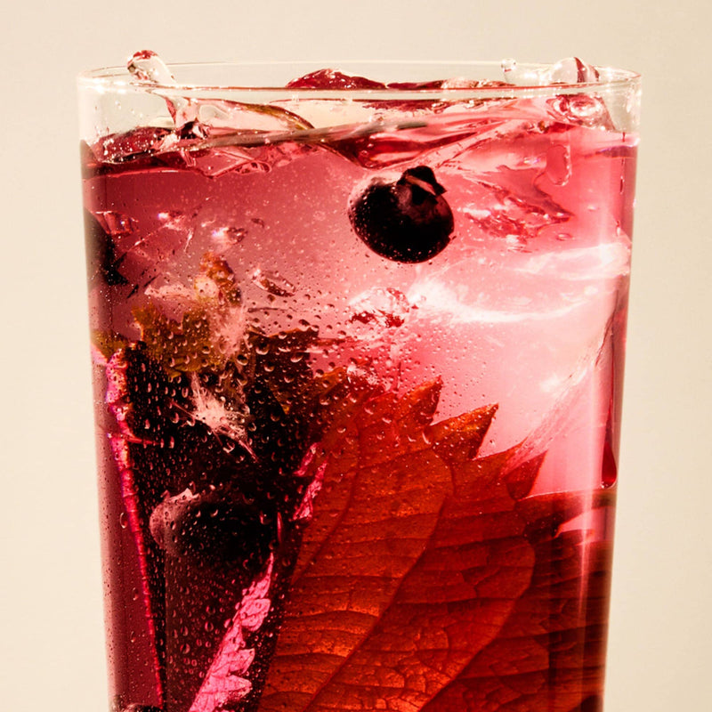 Blueberry Shiso Iced Tea hover image