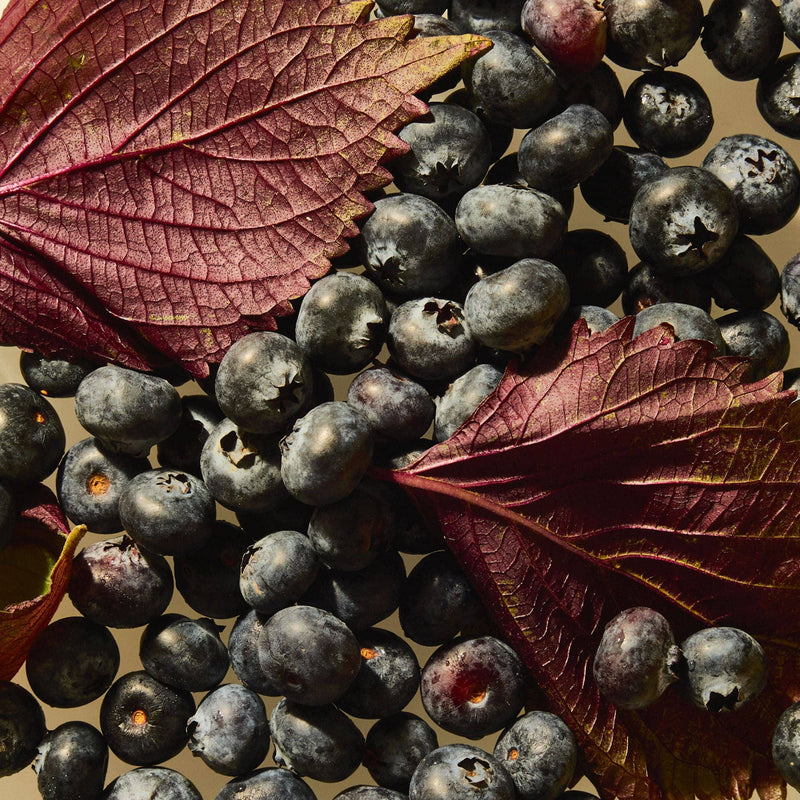 Blueberry Shiso Iced Tea
