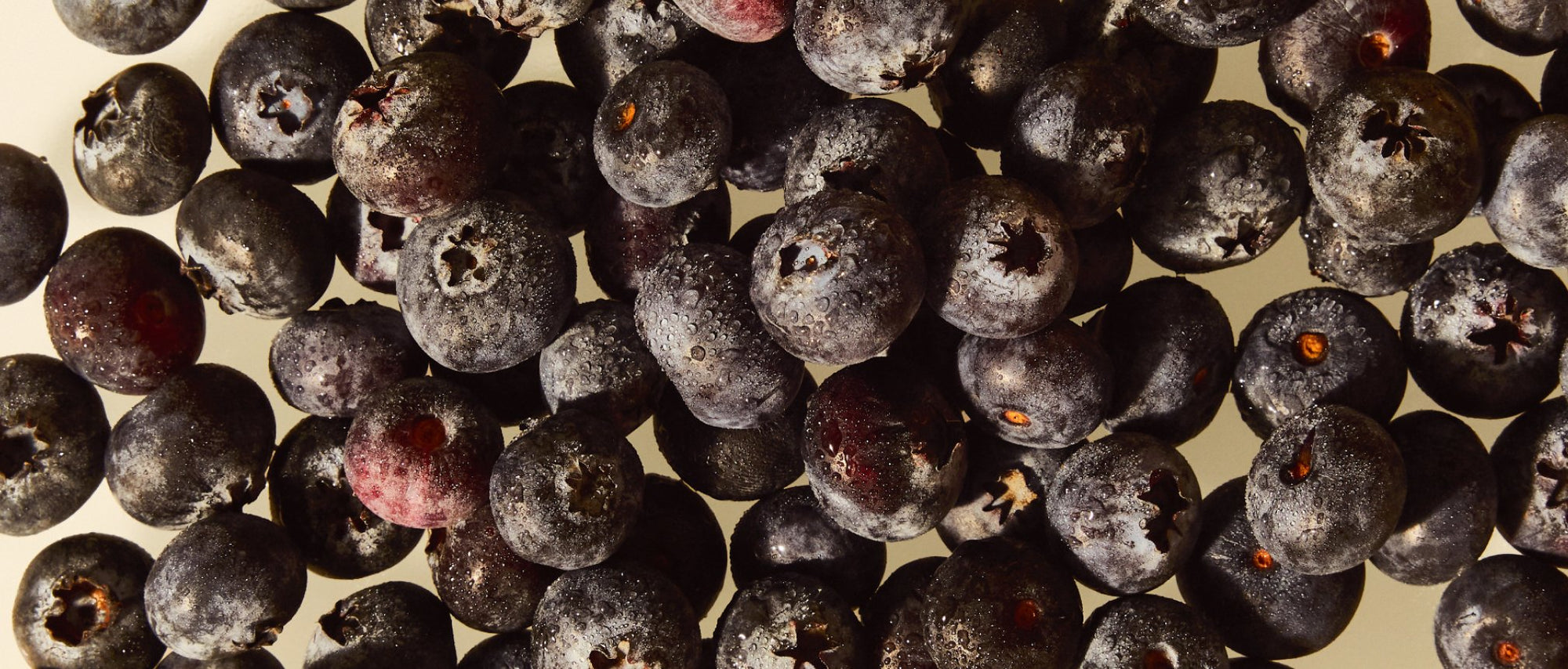 Blueberry Hibiscus