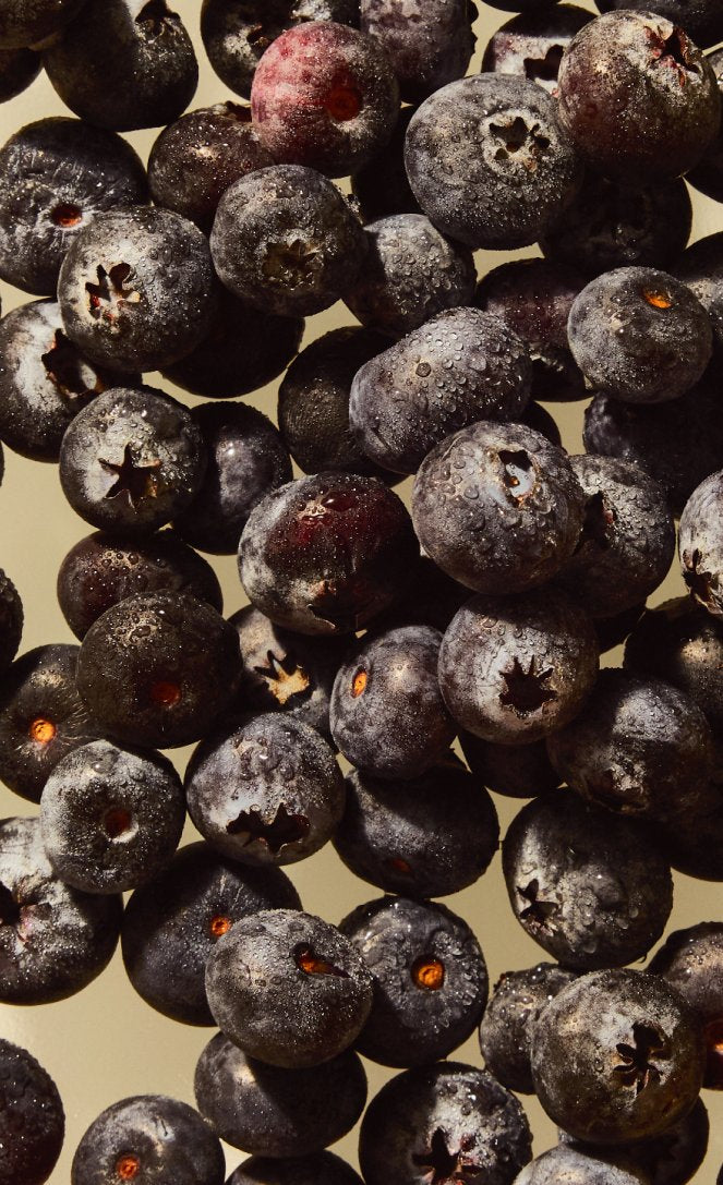 Blueberry Hibiscus