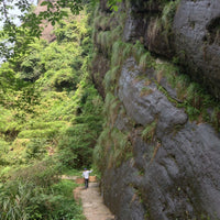 Wuyi Oolong Bai Rui Xiang