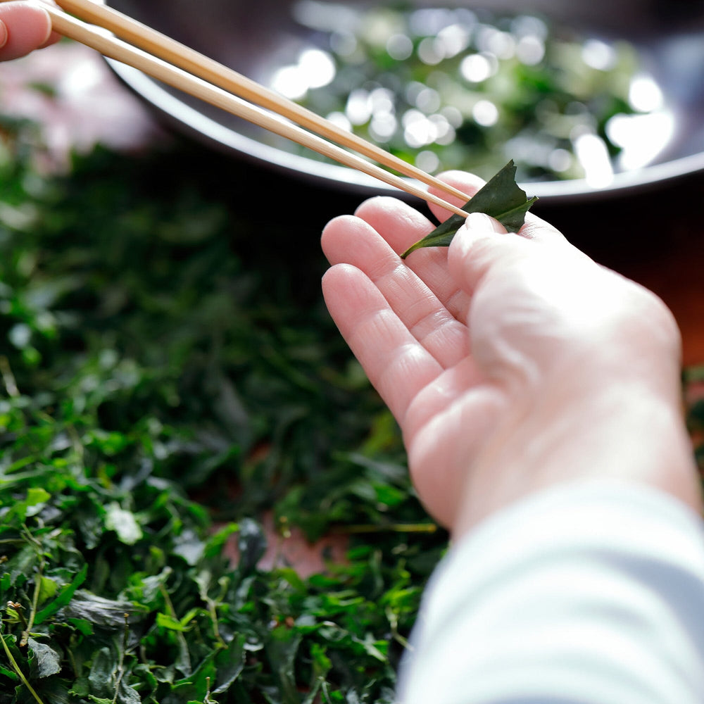 Matcha Samidori