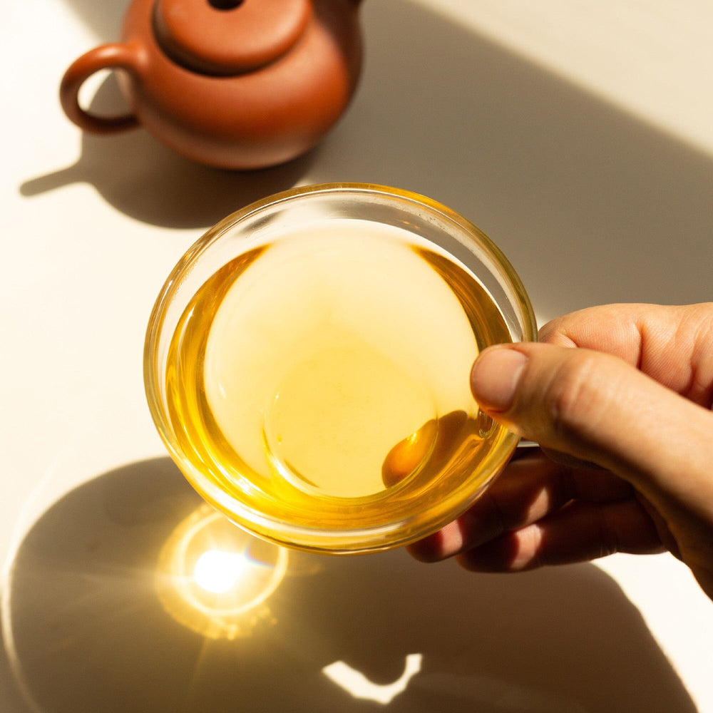 Phoenix Dancong Zhi Lan Xiang