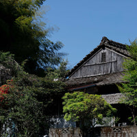 Nishi-san’s Matcha Okumidori