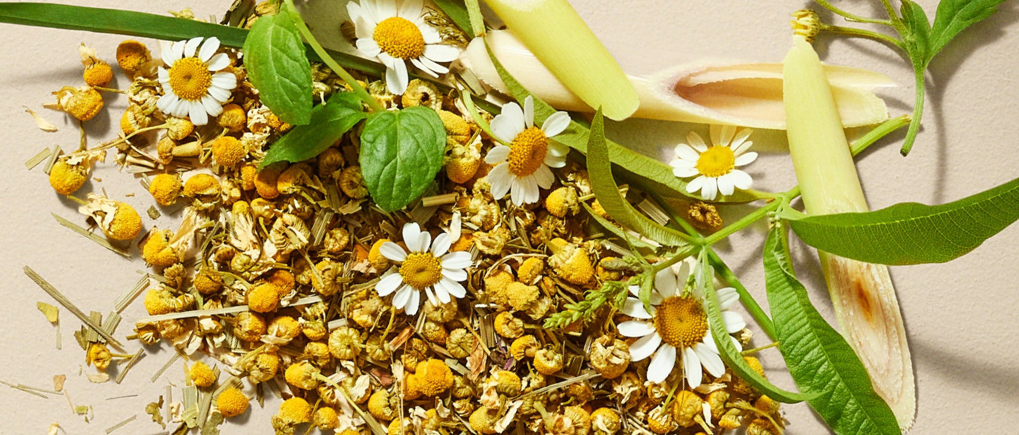 Chamomile Medley
