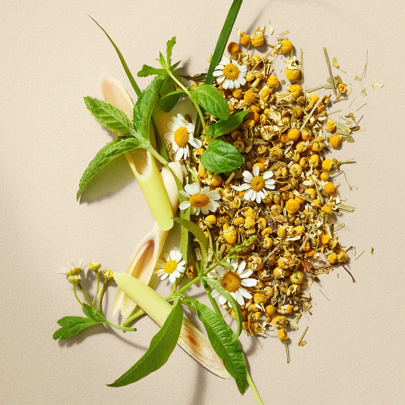 Chamomile Medley hover image