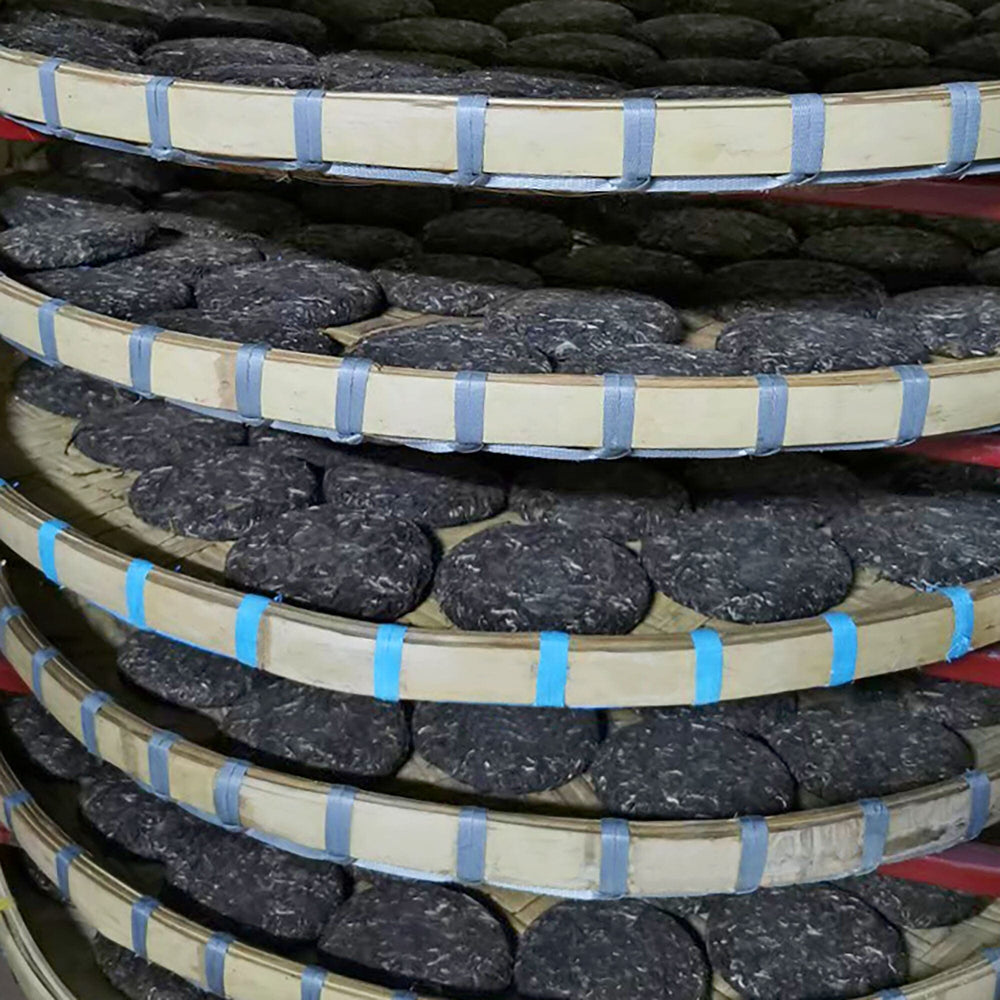 Doi Wawee Sheng Pu'er Vintage Spring 2022