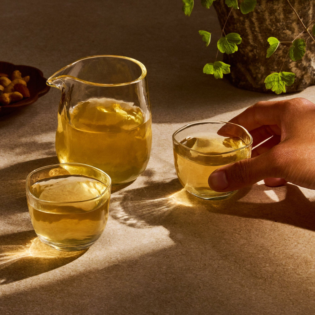 A hand reaches for one of two small glass cups filled with yellow Dragon Well tea from Rishi Tea & Botanicals, next to a glass pitcher. Sunlight casts shadows on the table, hinting at the organic green tea’s subtle roasted chestnut flavor.