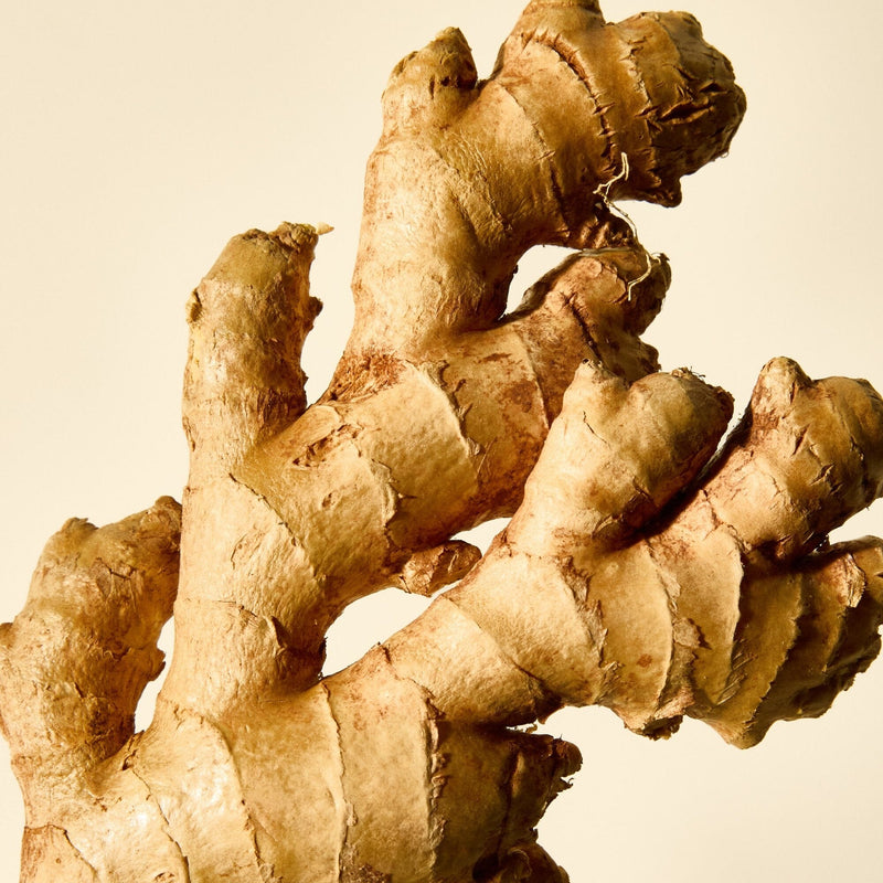 Ginger