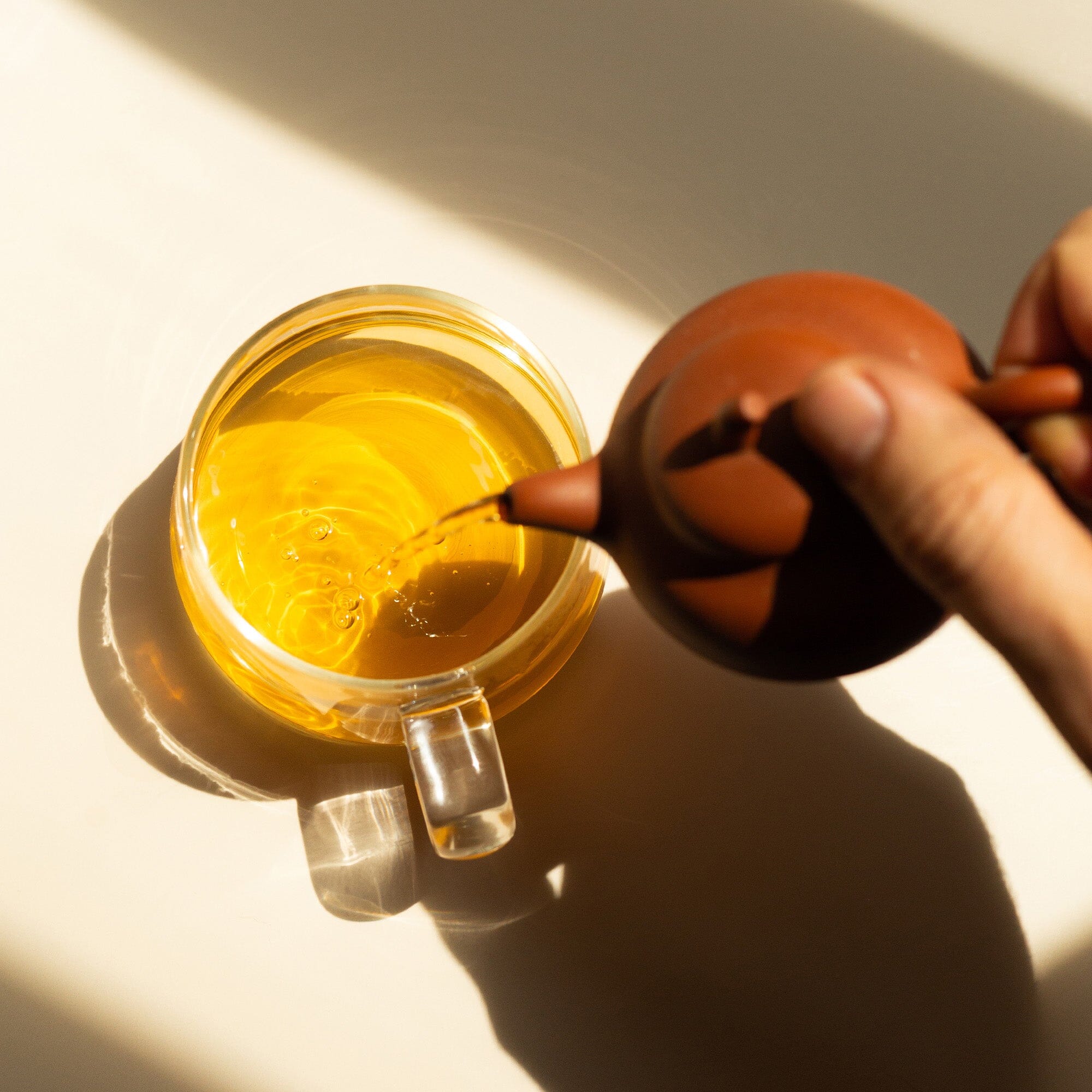 Phoenix Dancong Lan Hua Xiang