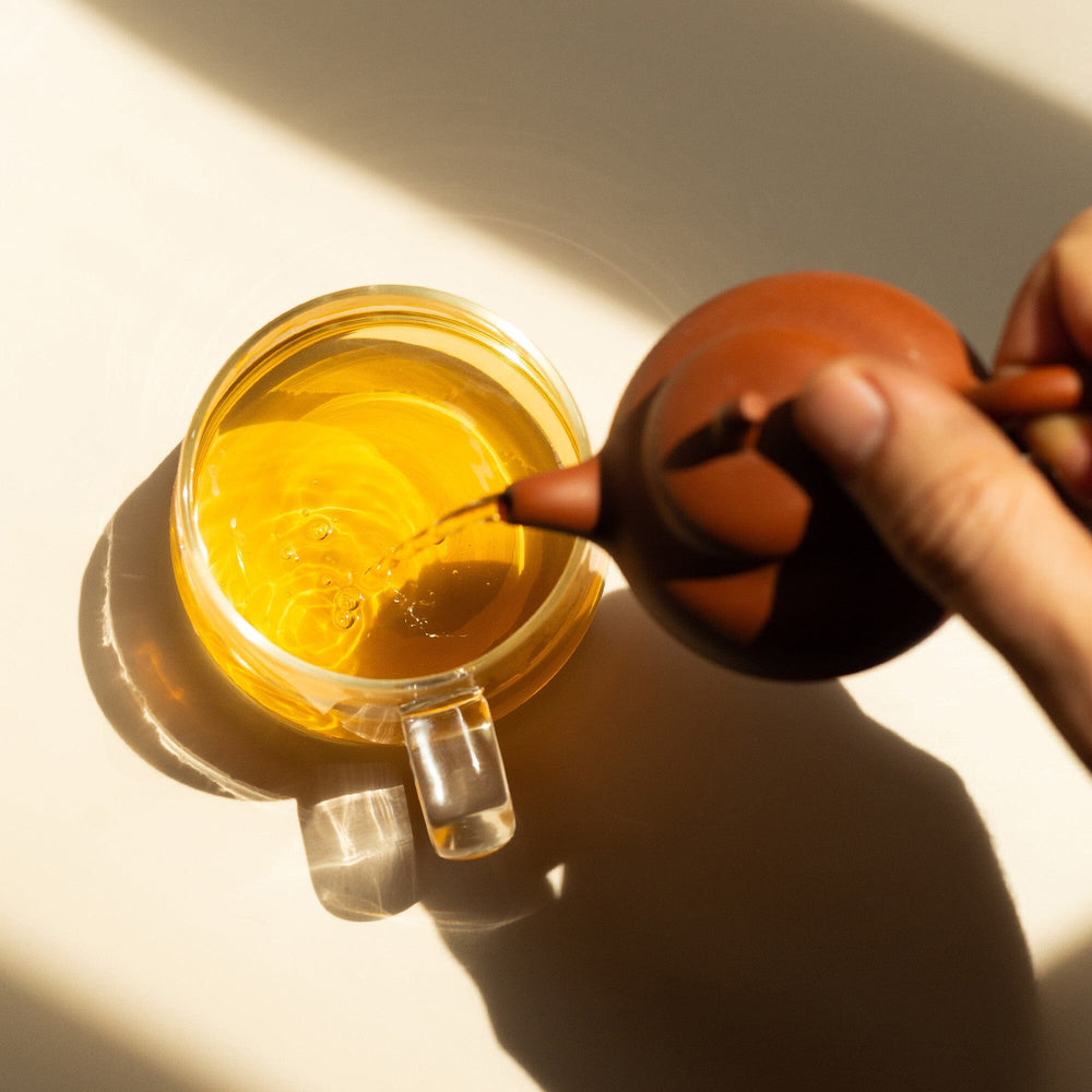 Phoenix Dancong Lan Hua Xiang