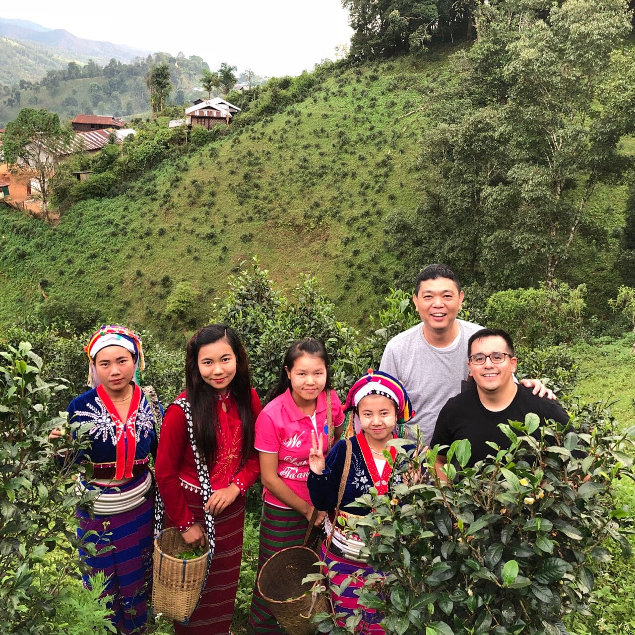 London Fog Concentrate