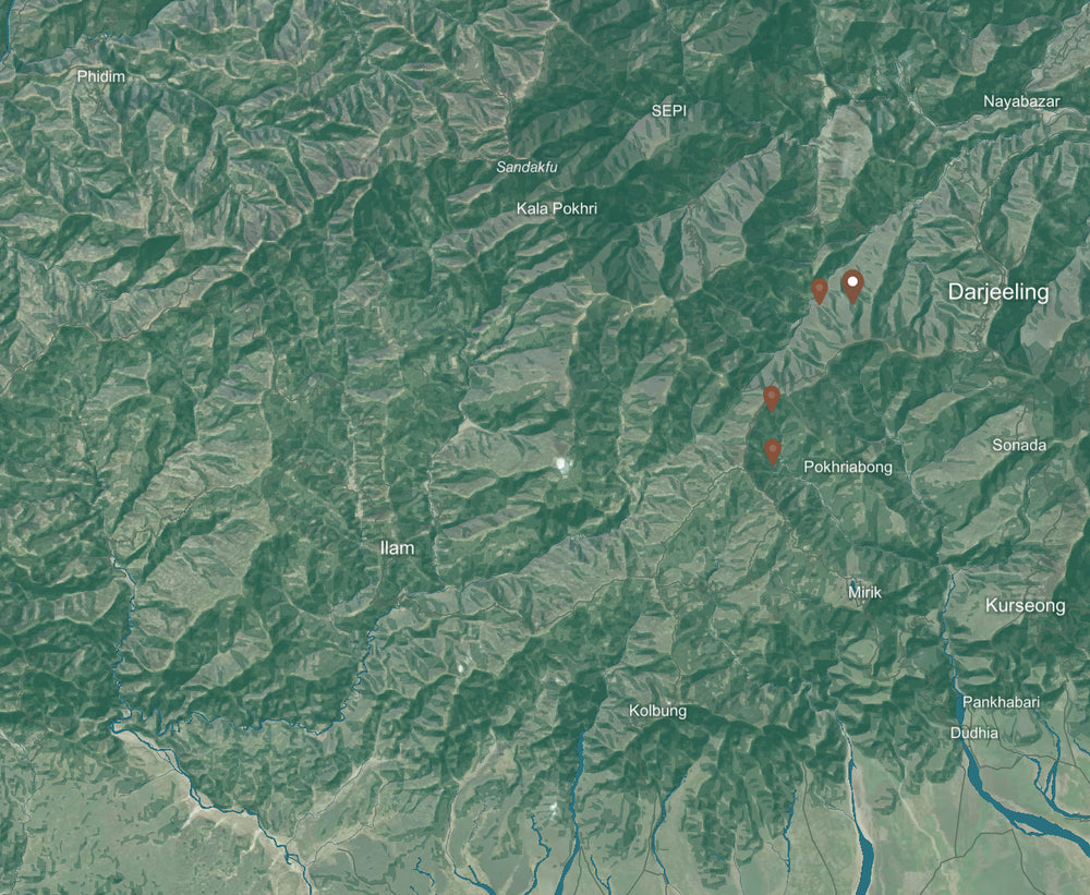 Darjeeling, India background map mobile