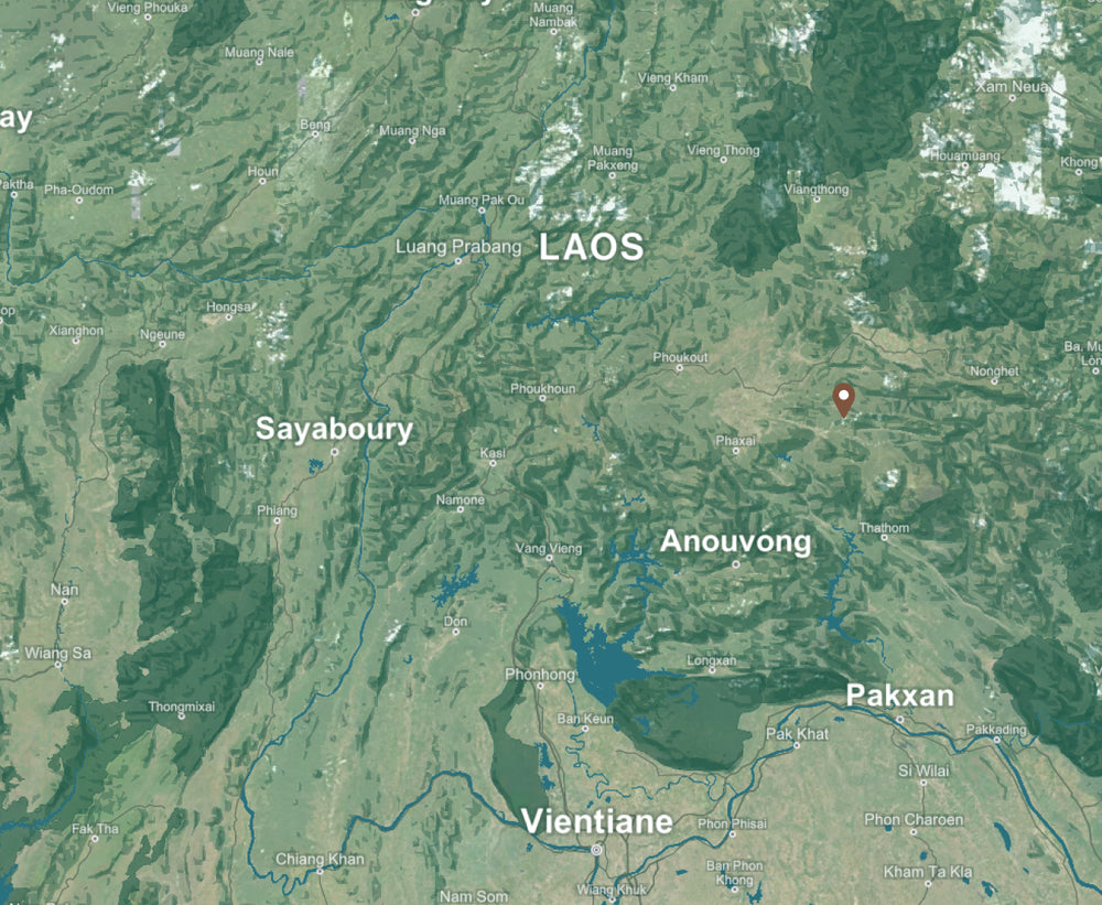 Phousan Tea Mountain background map mobile