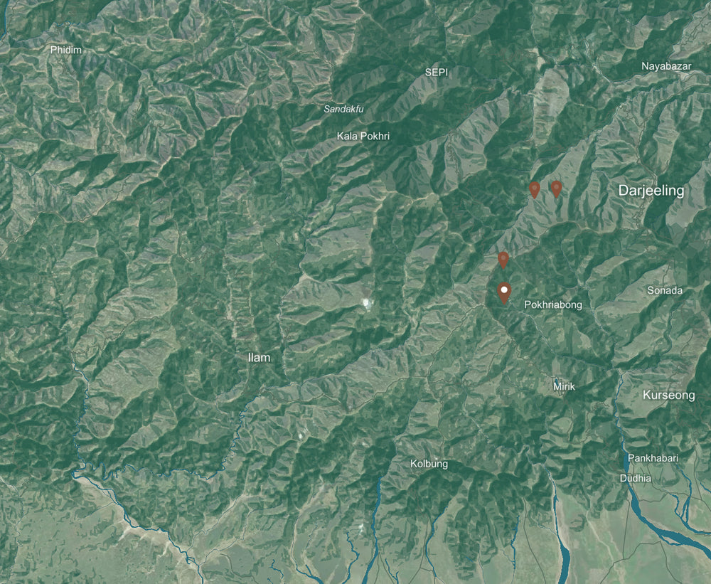 Chamong Garden background map mobile