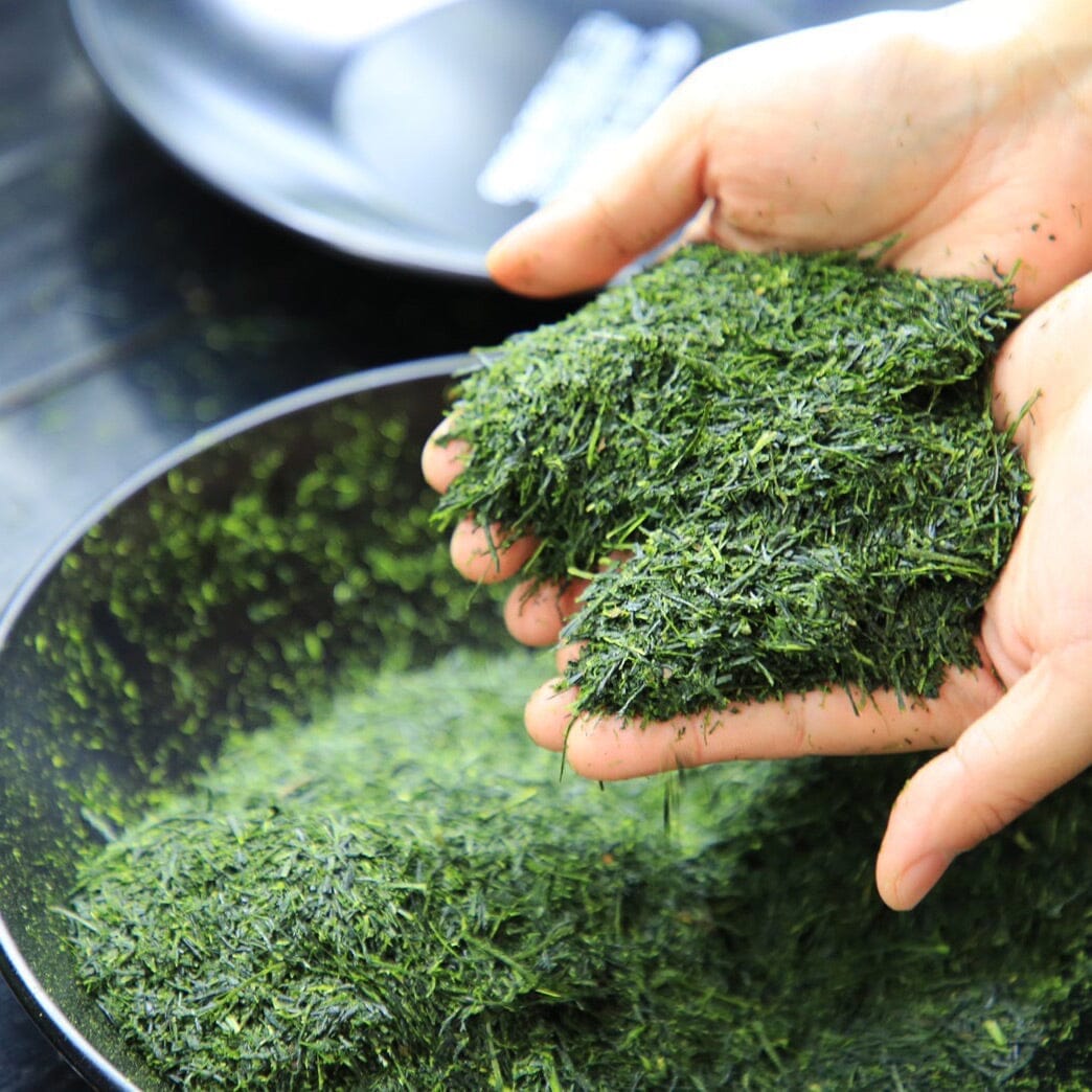 Nishi Sencha First Flush | Organic Loose Leaf Tea | Rishi Tea