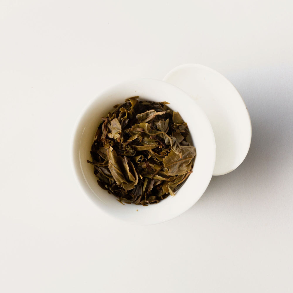 Old Trees Lincang Sheng Pu’er Cake