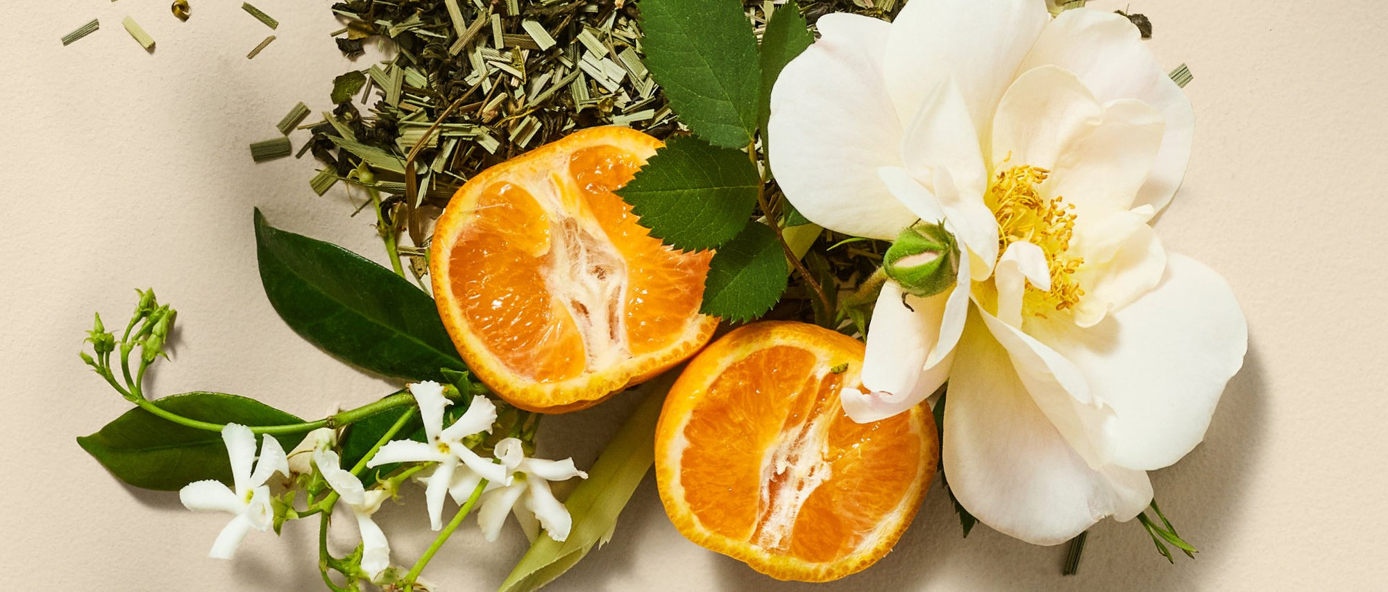 Orange Blossom