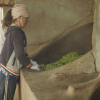 Laos Sheng Pu’er Tea Cake Vintage 2022