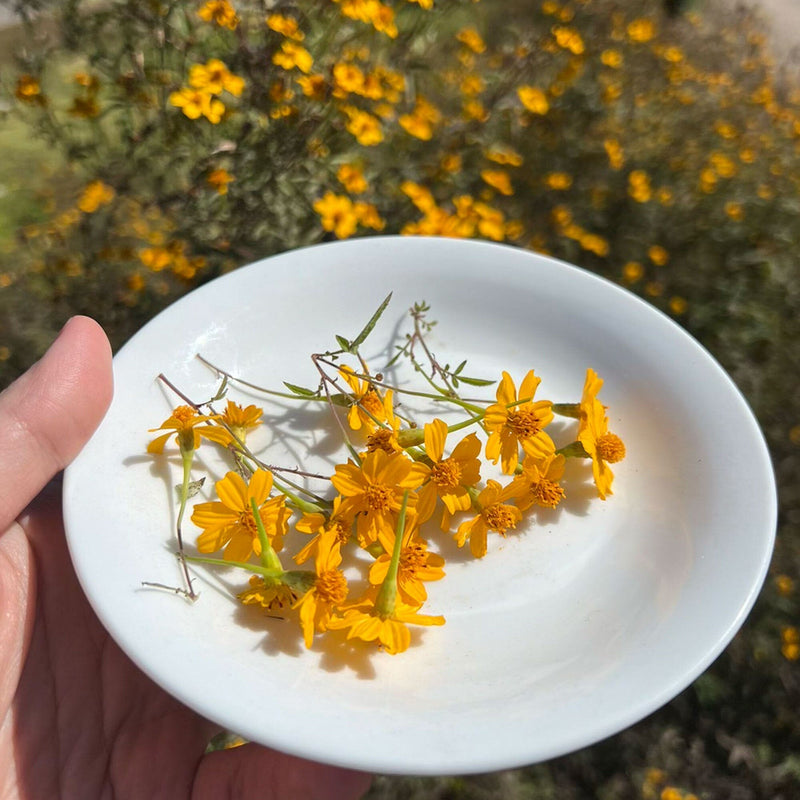 Sweet Starflower Oolong