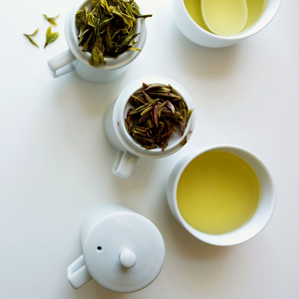 3-Piece Porcelain Cupping Set