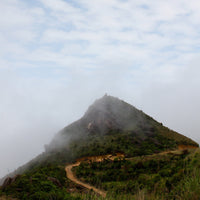 Phoenix Dancong Zhi Lan Xiang