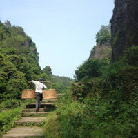 Wuyi Oolong Huang Guan Yin