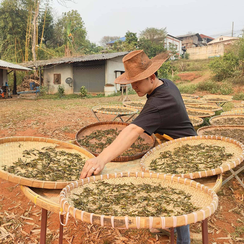 Doi Wawee Shu Pu'er Tea Cake