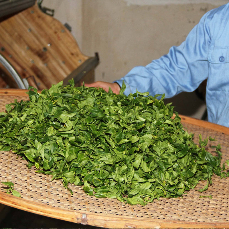 Phoenix Dancong Ao Fu Hou