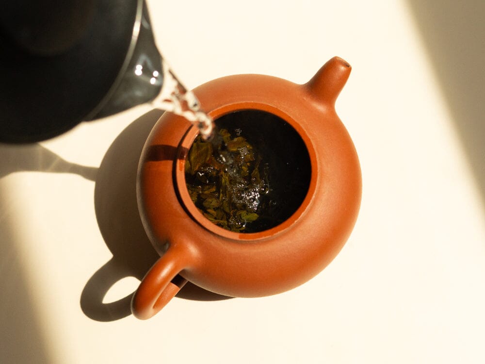 Phoenix Dancong Ao Fu Hou