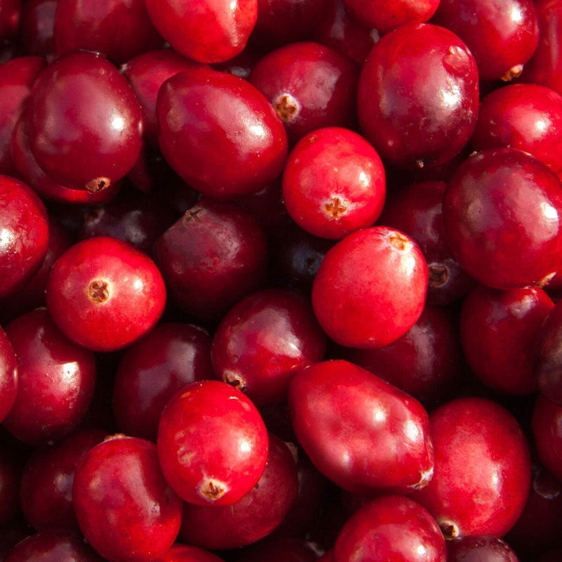A close-up of fresh whole cranberries mixed with adaptogenic schisandra berry, showing their shiny red skins and round shapes in a Rishi Tea & Botanicals blend.