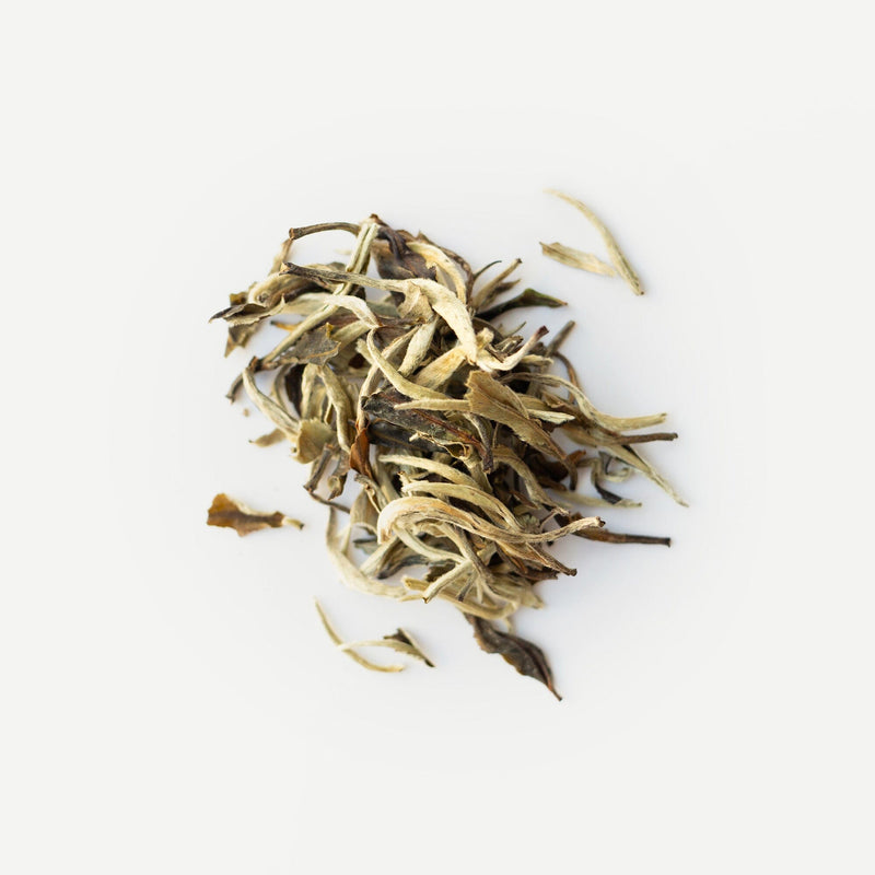 Magnolia White Tea