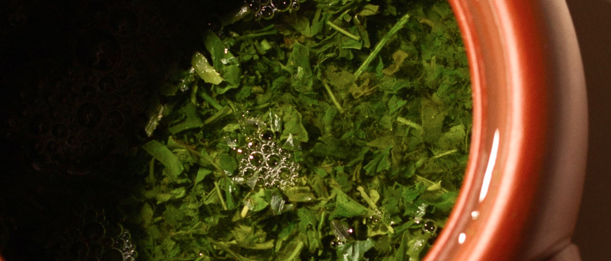 Sencha
